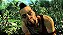 Far Cry 3 Classic Edition - Xbox One e Series S/X - Midia Digital - Imagem 3