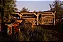 The Texas Chain Saw Massacre - Xbox One e Series X/S - Midia Digital - Imagem 5