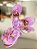 Chinelo Sandália Fem. Dog Sereia Vibes Flamingo Be Forever - Imagem 6