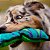 Brinquedo Outward Hound Cobra Invencível Para Cães Verde XL - Imagem 6
