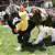Pelúcia Kong Comfort Jumbo Pato Roxo Para Cães XL - Imagem 3