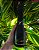 Espumante Freixenet Condon Negro 200 ml - Imagem 1