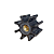 Rotor Jabsco Mercruiser 2.8 Diesel 170/200hp importado 896332063 - Imagem 1