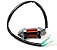 Bobina carga T30 para motor de popa Yamaha até 25hp 30hp C3030603 002065 61N-81313-09 - Imagem 1