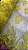 Tule Amarelo Bordado Luxo - Imagem 1