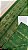 Jacquard Verde LITÚRGICO - Imagem 4