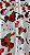 Cetim Estampado Navalhas - Imagem 1