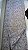 Jacquard Rosa com Dourado - Imagem 2