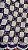 Africano Branco com Roxo - Imagem 1