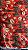 Cetim Estampado - Imagem 3