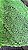 Grippir Verde - Imagem 1