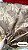 Cetim Marrom Jacquard - Imagem 1