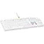 Teclado Gamer Mecânico Branco Fortrek Gravity 100 Fullsized Switch Outemu Red - Imagem 3