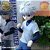 KILLUA ZOLDYCK HUNTER X HUNTER MASTERLISE ICHIBAN KUJI LETRA B BANDAI 100% ORIGINAL LACRADO - Imagem 2