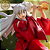 INUYASHA TENITOL FURYU 100% ORIGINAL LACRADO - Imagem 2