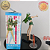 NELLIEL TU ODELSCHWANCK ADULTA BLEACH BANPRESTO 100% ORIGINAL COM CAIXA - Imagem 5