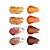 Palette De Sombras Niina Secrets Orange 5,6g - Imagem 2