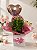 Box Kalanchoe Rosa - Imagem 1