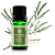 Óleo Essencial Tea Tree 10ml - Terra Flor - Imagem 1