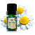 Óleo Essencial Camomila Romana 5ml (diluído a 10%) - Terra Flor - Imagem 1