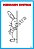 Apostila Desenhando Simetrias - Imagem 4