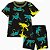 Pijama Infantil Menino Carters 2 Peças Chumbo Dinossauros - Imagem 1