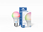 LAMPADA INTELIGENTE RGB 9W EH-300 HOME ALEXA/GOOGLE - EVOLUT - Imagem 2