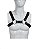 Arreio Gladiador Harness - Imagem 1