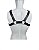 Arreio Gladiador Harness - Imagem 2