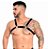Arreio Gladiador Harness - Imagem 1