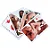 Baralho Kama Sutra Super Erótico 54 Cartas - Imagem 2