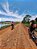 Cicloturismo Fazenda Cocal - Imagem 2