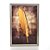 Quadro Decorativo Pena Dourada 3D Luxo Decoração Casa - Imagem 1