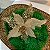6 Enfeite Natal Decoração Flor Poinsettia Dourada Premium - Imagem 6