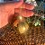 6 Bola Dourada Para Árvore de Natal 6 CM Brilhante Glitter - Imagem 5