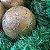 9 Bola Dourada Glitter Árvore de Natal 8 CM Dourado Grande - Imagem 6