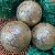 9 Bola Dourada Glitter Árvore de Natal 8 CM Dourado Grande - Imagem 7
