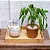 2 Bandeja Retangular Bambu Palha Decorativa Palhinha - Imagem 7