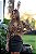 Saia Laura - Imagem 19