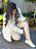 Skinny Fusô Celine Lycra Forrada - Imagem 10