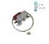 TERMOSTATO RC-72635-4F +5,3 +2,1ºC - Imagem 1