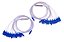 SPLITTER CONECTORIZADO SC/UPC 1X16 - AZUL - Imagem 1