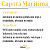CAPOTA MARITIMA FORD RANGER CABINE DUPLA COM SANTO ANTÔNIO ORIGINAL - Imagem 10
