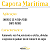 Capota Marítima Saveiro Crossover 2004/2009 C/ Sto Antonio - Imagem 8