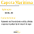 Capota Marítima Trek S10 95 A 11 Cabine Dupla C/ Sto Antonio - Imagem 8