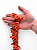 Coral Laranja Bruto Irregular - Imagem 2