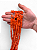 Coral Laranja Tubo Irregular - Imagem 2