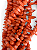 Coral Laranja Gota Irregular - Imagem 1