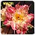 Rosa do Deserto Enxerto Wealthy - Imagem 1