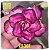 Rosa do Deserto Enxerto RX-307 - Imagem 1